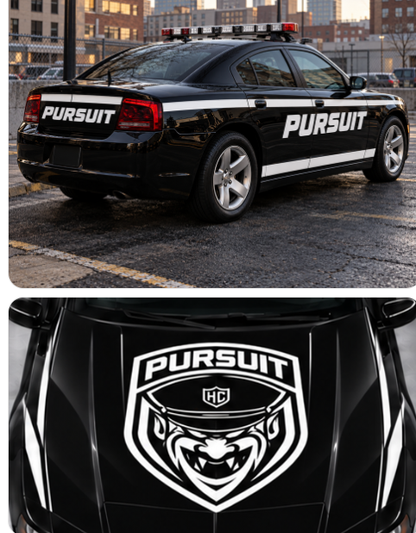 2010 Black Dodge charger sxt