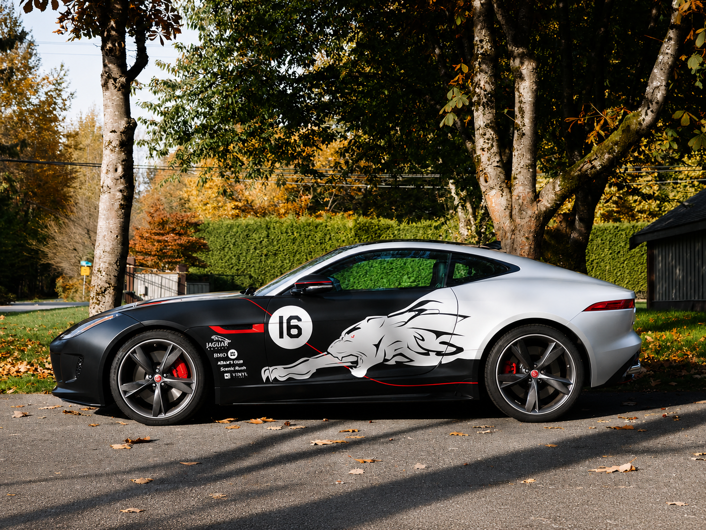 WEEMCUSTOM custom car decal on black sports car – bold high-quality vinyl graphic design